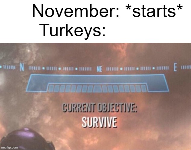 Late Thanksgiving meme bois | November: *starts*; Turkeys: | image tagged in current objective survive | made w/ Imgflip meme maker