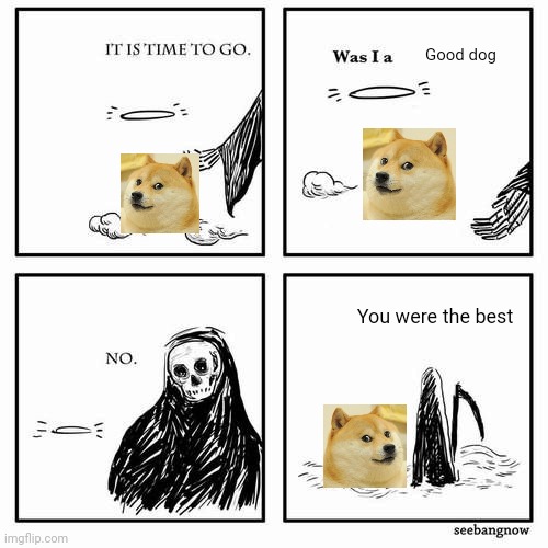 R.I.P doge dog, he was a good doggo, and I'm still sad that he's gone | Good dog; You were the best | image tagged in it is time to go | made w/ Imgflip meme maker