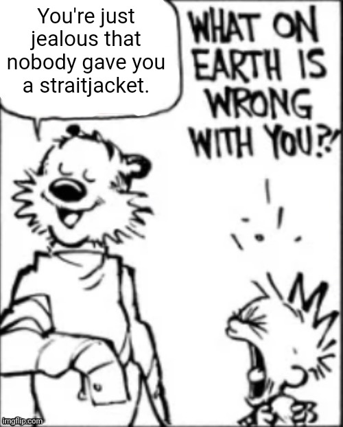 You thought the kid was the crazy one, didn't you? | You're just jealous that nobody gave you a straitjacket. | image tagged in what on earth is wrong with you,calvin and hobbes,mental illness,asylum,oblivious,insane | made w/ Imgflip meme maker