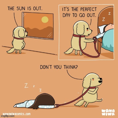 A walk | image tagged in sun,walk,dog,bed,comics,comics/cartoons | made w/ Imgflip meme maker