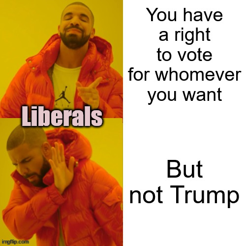 drake hotline bling REVERSED | You have a right to vote for whomever you want But not Trump Liberals | image tagged in drake hotline bling reversed | made w/ Imgflip meme maker