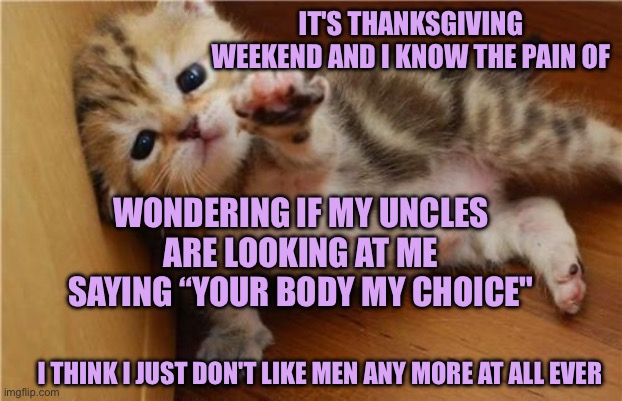 Help me kitten says Trump makes women hate men | IT'S THANKSGIVING WEEKEND AND I KNOW THE PAIN OF; WONDERING IF MY UNCLES ARE LOOKING AT ME SAYING “YOUR BODY MY CHOICE"; I THINK I JUST DON'T LIKE MEN ANY MORE AT ALL EVER | image tagged in help me kitten | made w/ Imgflip meme maker