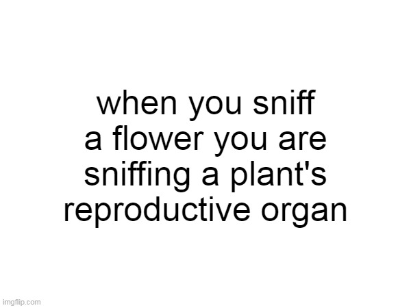 when you sniff a flower you are sniffing a plant's reproductive organ | made w/ Imgflip meme maker