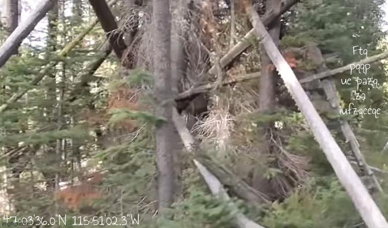 Ftqud daffuzs, xurqxqee oadbeq tme nqqz pqeqodmfqp | Ftq pqqp ue pazq, za iufzqeeqe; 47°03'36.0"N 115°51'02.3"W | made w/ Imgflip meme maker