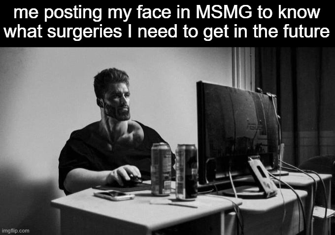 Gigachad On The Computer | me posting my face in MSMG to know what surgeries I need to get in the future | image tagged in gigachad on the computer | made w/ Imgflip meme maker