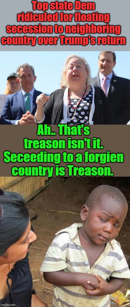 Arrest her.ON second thought DO IT. It would get rid of SHUMAR | Top state Dem ridiculed for floating secession to neighboring country over Trump's return; Ah.. That's treason isn't it. Seceeding to a forgien country is Treason. | image tagged in memes,third world skeptical kid | made w/ Imgflip meme maker