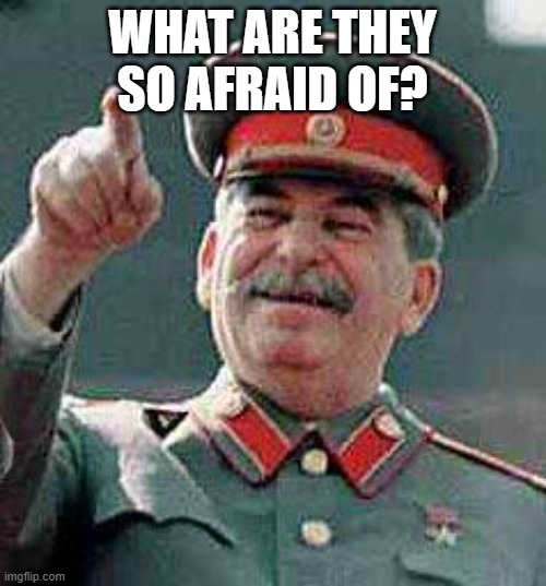 Stalin says | WHAT ARE THEY SO AFRAID OF? | image tagged in stalin says | made w/ Imgflip meme maker