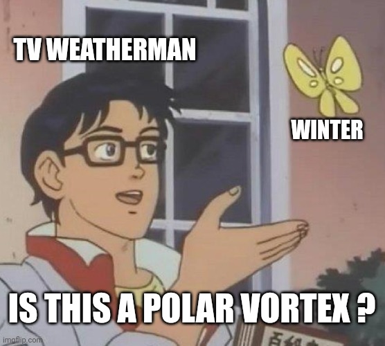 Is This A Pigeon Meme | TV WEATHERMAN WINTER IS THIS A POLAR VORTEX ? | image tagged in memes,is this a pigeon | made w/ Imgflip meme maker