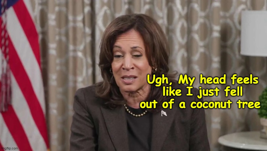 Morning after "Momala" | Ugh, My head feels like I just fell out of a coconut tree | image tagged in kamala hungover meme | made w/ Imgflip meme maker