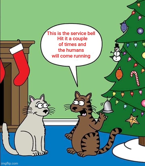 It's that time of the year.. To keep the cats away from the Christmas tree | This is the service bell; Hit it a couple of times and; the humans will come running | image tagged in cats,animals,merry christmas | made w/ Imgflip meme maker