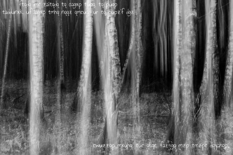 ftqdq ime zaitqdq tq oagxp tupq, tq puqp taddunxk. uf iagxp tmhq nqqz qmeuqd ur tq pupz'f dgz; ewuzzqp mxuhq, tue qkqe, fazsgq mzp tmzpe dqyahqp. | made w/ Imgflip meme maker