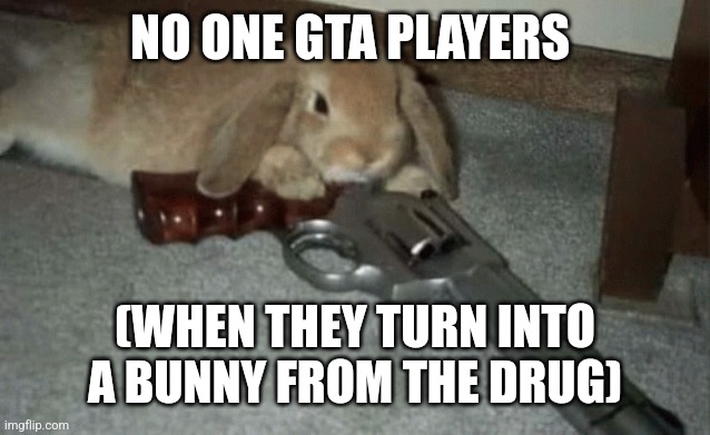 GTA animal drug thing (I don't play the game) | NO ONE GTA PLAYERS; (WHEN THEY TURN INTO A BUNNY FROM THE DRUG) | image tagged in gunny | made w/ Imgflip meme maker