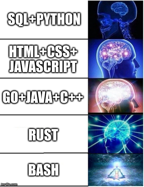 Some men just want to watch the world burn... | SQL+PYTHON; HTML+CSS+ JAVASCRIPT; GO+JAVA+C++; RUST; BASH | image tagged in expanding brain 5 panel,programming,stupid,rage,dumbass | made w/ Imgflip meme maker