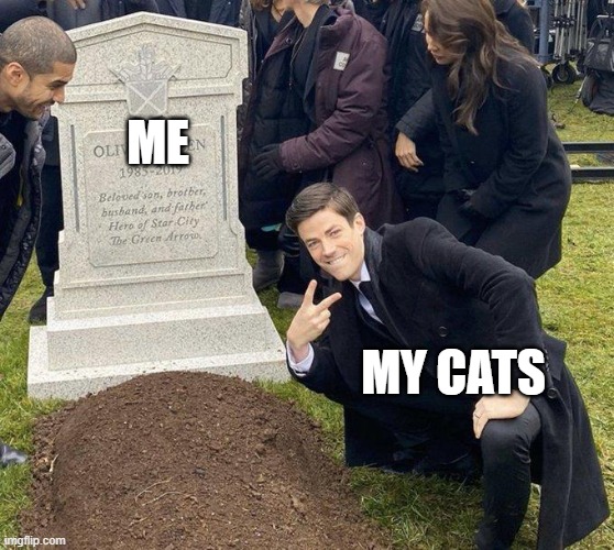 Funeral | ME; MY CATS | image tagged in funeral,pets | made w/ Imgflip meme maker