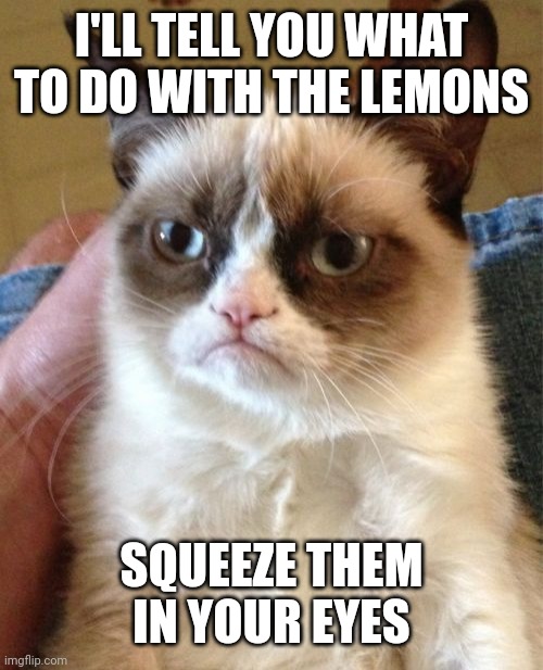 Grumpy Cat Meme | I'LL TELL YOU WHAT TO DO WITH THE LEMONS SQUEEZE THEM IN YOUR EYES | image tagged in memes,grumpy cat | made w/ Imgflip meme maker