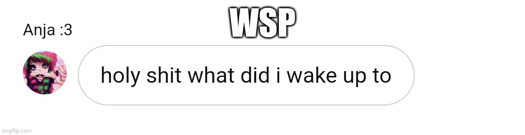 Holy shit what did i wake up to | WSP | image tagged in holy shit what did i wake up to | made w/ Imgflip meme maker