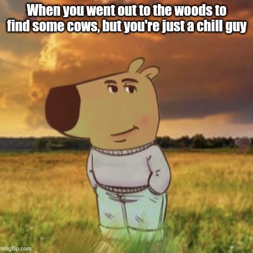 Chill guy | When you went out to the woods to find some cows, but you're just a chill guy | image tagged in chill guy,memes,cows,so true | made w/ Imgflip meme maker