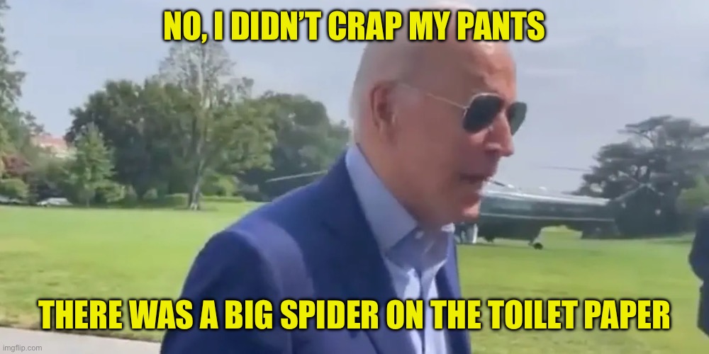 Joe Biden My butt’s been wiped | NO, I DIDN’T CRAP MY PANTS THERE WAS A BIG SPIDER ON THE TOILET PAPER | image tagged in joe biden my butt s been wiped | made w/ Imgflip meme maker