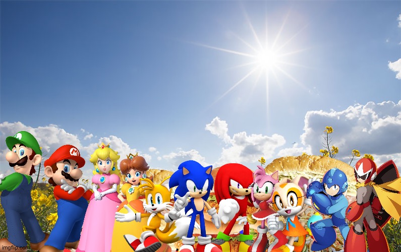 Mario and friends having a picnic | image tagged in sunshine,super mario,sonic the hedgehog,megaman,crossover | made w/ Imgflip meme maker