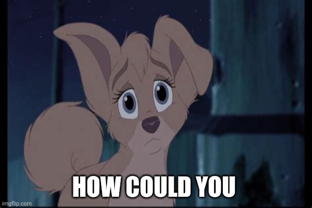 How Could You | HOW COULD YOU | image tagged in lady and the tramp 2 angel,alyssa milano,disney dogs,dogs,disney | made w/ Imgflip meme maker