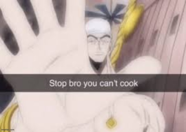 stop bro you cant cook | image tagged in stop bro you cant cook | made w/ Imgflip meme maker