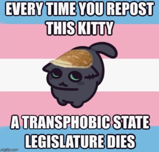 heck yes. | image tagged in cat | made w/ Imgflip meme maker