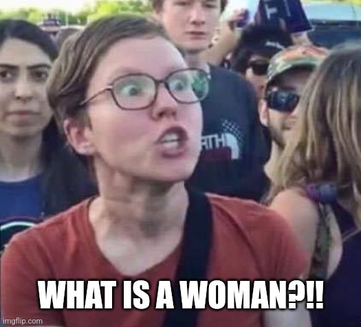 Angry Liberal | WHAT IS A WOMAN?!! | image tagged in angry liberal | made w/ Imgflip meme maker