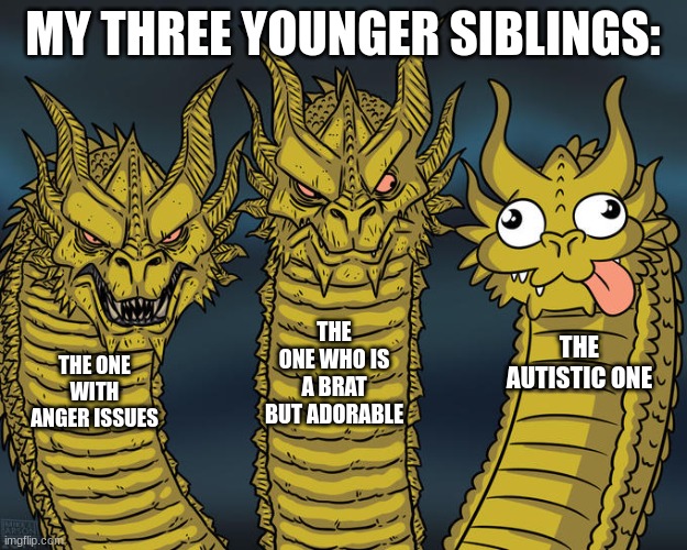 Three-headed Dragon | MY THREE YOUNGER SIBLINGS:; THE ONE WHO IS A BRAT BUT ADORABLE; THE AUTISTIC ONE; THE ONE WITH ANGER ISSUES | image tagged in three-headed dragon | made w/ Imgflip meme maker