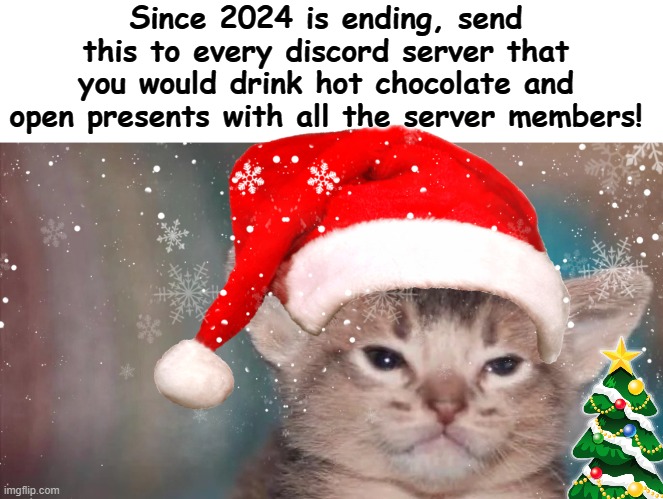 Happy Holidays! | Since 2024 is ending, send this to every discord server that you would drink hot chocolate and open presents with all the server members! | image tagged in kitty,christmas | made w/ Imgflip meme maker