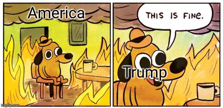 we all are cooked | America; Trump | image tagged in memes,this is fine | made w/ Imgflip meme maker