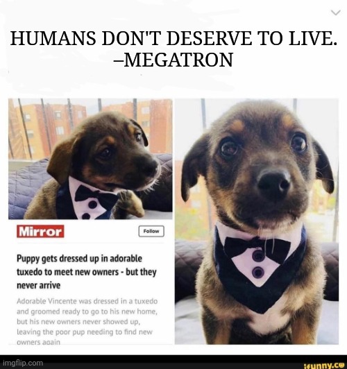 Sad. | HUMANS DON'T DESERVE TO LIVE.
–MEGATRON | image tagged in sad,doge,dogs,cry | made w/ Imgflip meme maker