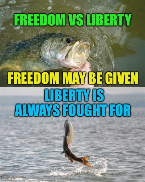 Freedom is not the same as Liberty | FREEDOM VS LIBERTY; FREEDOM MAY BE GIVEN; LIBERTY IS ALWAYS FOUGHT FOR | image tagged in gifs,freedom,liberty,the constitution,free speech | made w/ Imgflip meme maker