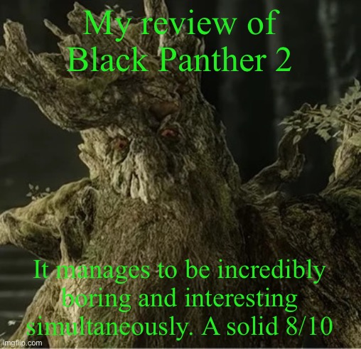 Should I watch Deadpool or No Way Home next | My review of Black Panther 2; It manages to be incredibly boring and interesting simultaneously. A solid 8/10 | image tagged in hecate | made w/ Imgflip meme maker