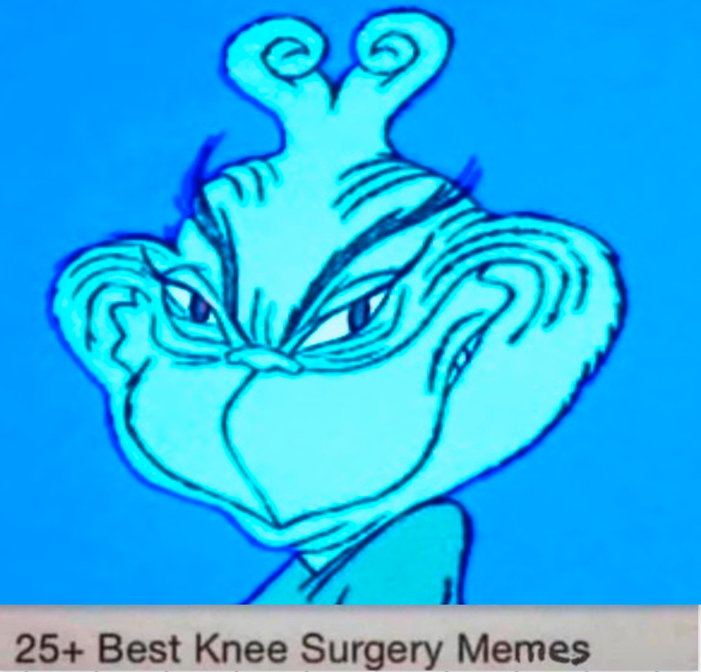 blue grinch 1966 Blank Meme Template