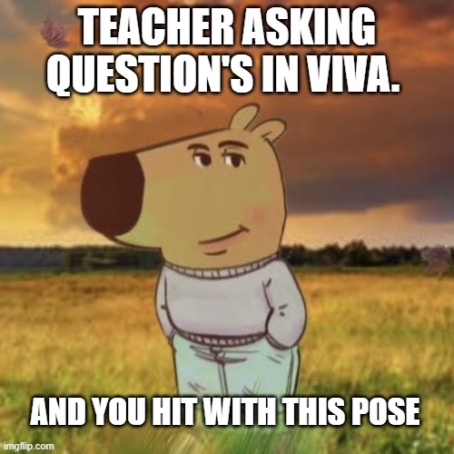 Chill guy | TEACHER ASKING QUESTION'S IN VIVA. AND YOU HIT WITH THIS POSE | image tagged in chill guy | made w/ Imgflip meme maker