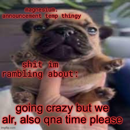 pug temp | going crazy but we alr, also qna time please | image tagged in pug temp | made w/ Imgflip meme maker