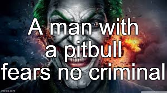 Jonkler | A man with a pitbull fears no criminal | image tagged in jonkler | made w/ Imgflip meme maker