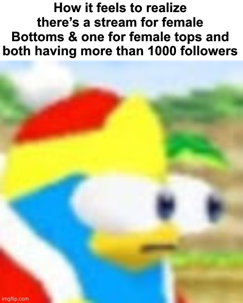 Even some streams have less than that dude | How it feels to realize there’s a stream for female Bottoms & one for female tops and both having more than 1000 followers | image tagged in dedede bulging his eyes out,msmg | made w/ Imgflip meme maker