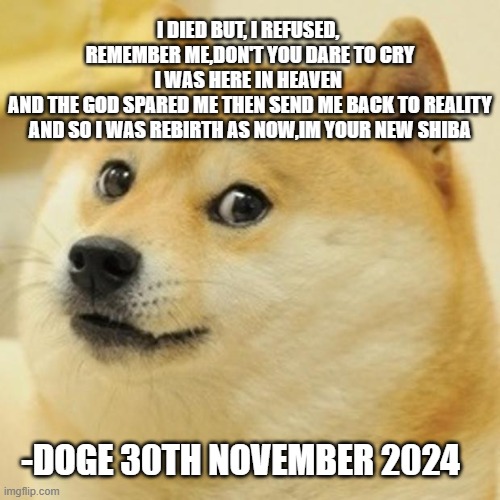 Message To Doge Fan | I DIED BUT, I REFUSED, 
REMEMBER ME,DON'T YOU DARE TO CRY
I WAS HERE IN HEAVEN 
AND THE GOD SPARED ME THEN SEND ME BACK TO REALITY
AND SO I WAS REBIRTH AS NOW,IM YOUR NEW SHIBA; -DOGE 30TH NOVEMBER 2024 | image tagged in memes,doge | made w/ Imgflip meme maker