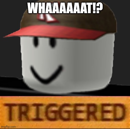 DONT CALL US STUPID!!!! | WHAAAAAAT!? | image tagged in roblox triggered | made w/ Imgflip meme maker