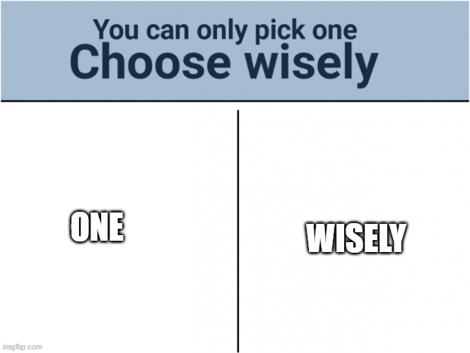 choose. | WISELY; ONE | image tagged in you can pick only one choose wisely | made w/ Imgflip meme maker