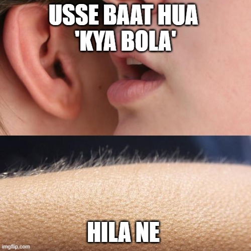 wah | USSE BAAT HUA 
'KYA BOLA'; HILA NE | image tagged in whisper and goosebumps | made w/ Imgflip meme maker