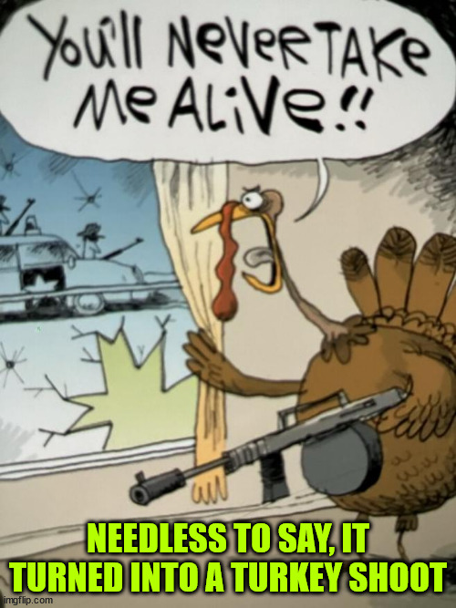 Turkey shoot... | NEEDLESS TO SAY, IT TURNED INTO A TURKEY SHOOT | image tagged in eyeroll,turkey shoot | made w/ Imgflip meme maker