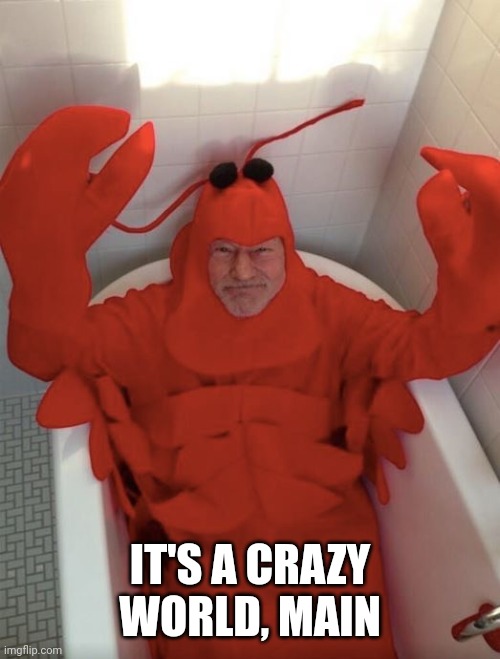 Patrick Stewart Lobster | IT'S A CRAZY WORLD, MAIN | image tagged in patrick stewart lobster | made w/ Imgflip meme maker