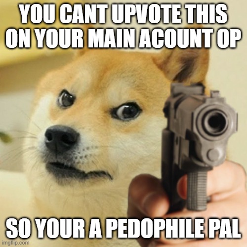 YOU CANT UPVOTE THIS ON YOUR MAIN ACOUNT OP SO YOUR A PEDOPHILE PAL | image tagged in doge holding a gun | made w/ Imgflip meme maker