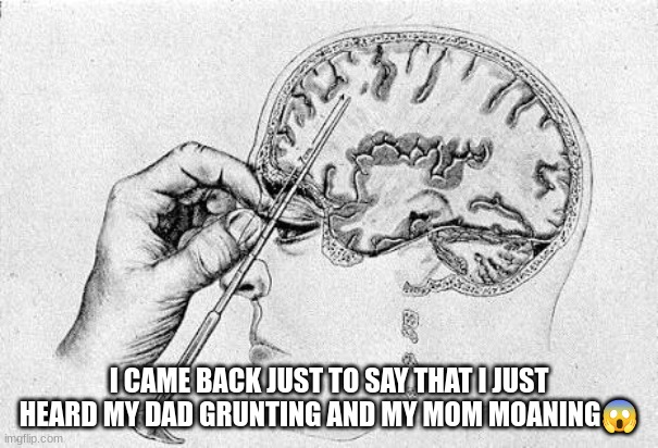 WHAT THE FUFUFFUFUFUCCKCKSSALDMASL | I CAME BACK JUST TO SAY THAT I JUST HEARD MY DAD GRUNTING AND MY MOM MOANING😱 | image tagged in lobotomy | made w/ Imgflip meme maker