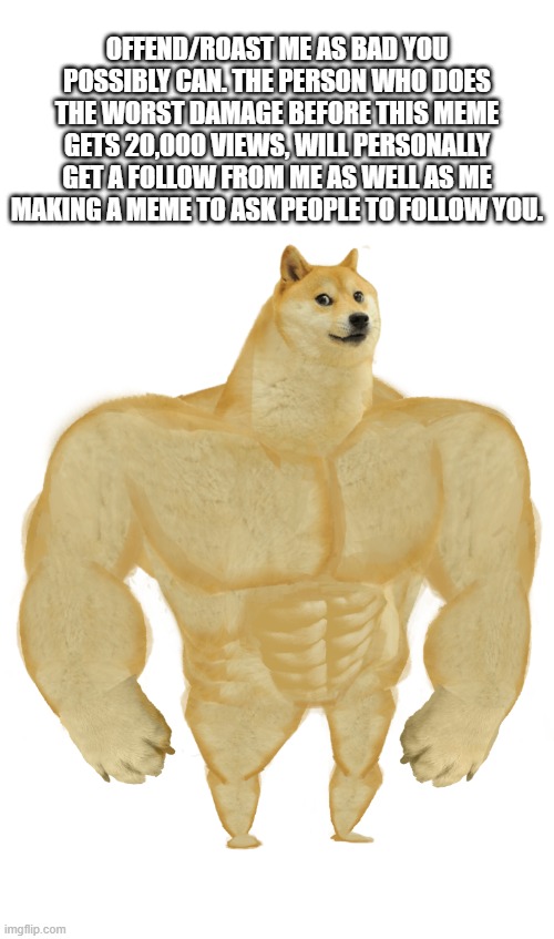 Swole Doge | OFFEND/ROAST ME AS BAD YOU POSSIBLY CAN. THE PERSON WHO DOES THE WORST DAMAGE BEFORE THIS MEME GETS 20,000 VIEWS, WILL PERSONALLY GET A FOLLOW FROM ME AS WELL AS ME MAKING A MEME TO ASK PEOPLE TO FOLLOW YOU. | image tagged in swole doge | made w/ Imgflip meme maker