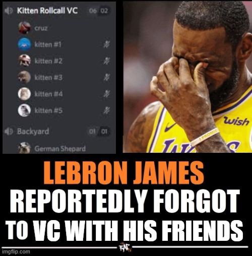 Legit my friends this week | VC WITH HIS FRIENDS | image tagged in lebron james reportedly forgot to | made w/ Imgflip meme maker