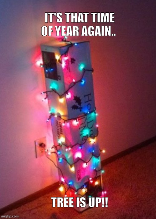 Tree is up! | image tagged in christmas,christmas memes,christmas tree,christmas lights,christmas meme | made w/ Imgflip meme maker