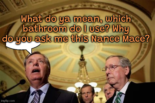 No balls | What do ya mean, which bathroom do I use? Why do you ask me this Nance Mace? | image tagged in no balls,ball kisser,never get the blessing of the king,nancy mace potty patrol,maga minions,lindsey graham | made w/ Imgflip meme maker